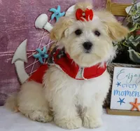 processed/dcb2718b-069f-45a0-9a1f-128a7e4986d2/listing/7c648ef5-fb98-4d40-b8ab-c66a5f38222a/6322a124-4c56-48e3-88bc-503af038de70