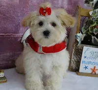 processed/dcb2718b-069f-45a0-9a1f-128a7e4986d2/listing/7c648ef5-fb98-4d40-b8ab-c66a5f38222a/7018a88c-0117-4079-8923-0121a8b43850