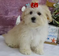 processed/dcb2718b-069f-45a0-9a1f-128a7e4986d2/listing/7c648ef5-fb98-4d40-b8ab-c66a5f38222a/a2037548-d63f-4866-9045-f96fec06e88a