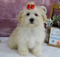 processed/dcb2718b-069f-45a0-9a1f-128a7e4986d2/listing/7c648ef5-fb98-4d40-b8ab-c66a5f38222a/ba40652a-1b30-4a6b-8e63-35e4aa55f2b6