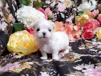 processed/dcb5cd50-c2c1-444f-8286-e43b0ebf3051/listing/8f7c40f8-c879-4bbf-84bf-749816fdefea/017b1010-f842-408d-aee0-eb82cd9a2ec4