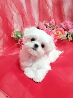 processed/dcb5cd50-c2c1-444f-8286-e43b0ebf3051/listing/8f7c40f8-c879-4bbf-84bf-749816fdefea/19744cc1-00c2-4724-88d1-3270fe6269bf