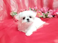 processed/dcb5cd50-c2c1-444f-8286-e43b0ebf3051/listing/8f7c40f8-c879-4bbf-84bf-749816fdefea/4546a307-8f52-4478-bf72-a8f55bade2dc