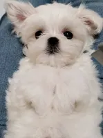 processed/dcb5cd50-c2c1-444f-8286-e43b0ebf3051/listing/8f7c40f8-c879-4bbf-84bf-749816fdefea/6212037a-e36c-492b-923e-07fa547c8370