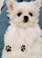 processed/dcb5cd50-c2c1-444f-8286-e43b0ebf3051/listing/8f7c40f8-c879-4bbf-84bf-749816fdefea/64965f6d-45f3-45ce-b505-83032e12610c