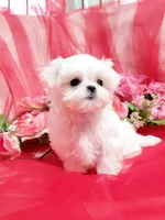 processed/dcb5cd50-c2c1-444f-8286-e43b0ebf3051/listing/8f7c40f8-c879-4bbf-84bf-749816fdefea/7aeae181-501c-4f07-929a-9fa07d1c7a3d