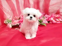 processed/dcb5cd50-c2c1-444f-8286-e43b0ebf3051/listing/8f7c40f8-c879-4bbf-84bf-749816fdefea/830067b9-f83b-4c77-8617-36b8020c396d