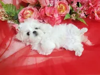 processed/dcb5cd50-c2c1-444f-8286-e43b0ebf3051/listing/8f7c40f8-c879-4bbf-84bf-749816fdefea/8eddbe8d-b07d-4caf-a874-9cf18c934bcd