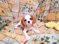 processed/dcb5cd50-c2c1-444f-8286-e43b0ebf3051/listing/96029b33-ebf4-42dd-898d-874bf4598bdc/0bd37cf9-76af-436f-888f-40f8595c223f