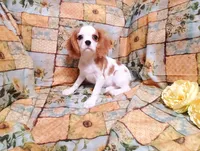 processed/dcb5cd50-c2c1-444f-8286-e43b0ebf3051/listing/96029b33-ebf4-42dd-898d-874bf4598bdc/83335a3a-4675-4222-9489-e9f8821c7da9