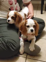 processed/dcb5cd50-c2c1-444f-8286-e43b0ebf3051/listing/96029b33-ebf4-42dd-898d-874bf4598bdc/eb6a60cc-8b92-4c07-83fe-86c92ba13ab8