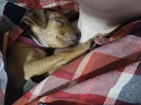 processed/dcb79be8-946d-475c-80d4-237648f19734/listing/0c413bbc-1b49-4697-b211-1a631be2fcec/066933c2-8feb-4237-8369-adf05e991596