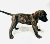 processed/dcc67286-e120-47bb-9162-a67c90af7bae/listing/170f30ef-548a-4d72-afce-48c584f83102/81a470b2-90cb-4180-b911-0fc1515585a0