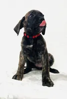 processed/dcc67286-e120-47bb-9162-a67c90af7bae/listing/170f30ef-548a-4d72-afce-48c584f83102/8a4547f8-d8be-4d3a-8fb7-1d0b7d46c865