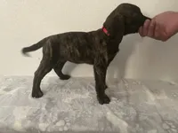 processed/dcc67286-e120-47bb-9162-a67c90af7bae/listing/170f30ef-548a-4d72-afce-48c584f83102/f8e4cb8d-4be9-47d2-b7fc-5ca7d163a78e