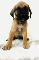 processed/dcc67286-e120-47bb-9162-a67c90af7bae/listing/2b16072e-138d-4d8e-9c93-6fb00695deea/195f2648-5134-4ceb-aa37-87c999249e9d