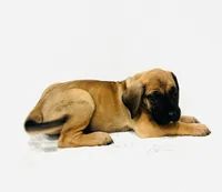 processed/dcc67286-e120-47bb-9162-a67c90af7bae/listing/2b16072e-138d-4d8e-9c93-6fb00695deea/86d37d20-250f-444e-bb06-f78d5c255477