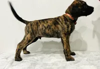 processed/dcc67286-e120-47bb-9162-a67c90af7bae/listing/7b4a2db1-b05f-4480-befa-bee8c0839f17/2b560056-7890-45db-acf2-fac258bb97fb