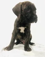 processed/dcc67286-e120-47bb-9162-a67c90af7bae/listing/b1fda528-8c59-4a2b-9d59-7a35050c06a6/09a1e4ef-d7a2-4335-a81d-41f175ba2919