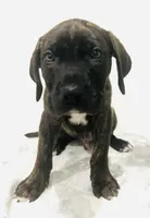 processed/dcc67286-e120-47bb-9162-a67c90af7bae/listing/b1fda528-8c59-4a2b-9d59-7a35050c06a6/5ba15619-d022-481c-91f5-fab07471a0c0