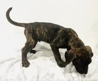 processed/dcc67286-e120-47bb-9162-a67c90af7bae/listing/b1fda528-8c59-4a2b-9d59-7a35050c06a6/8debbd38-f255-410c-8d69-557412fb0828