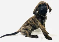 processed/dcc67286-e120-47bb-9162-a67c90af7bae/listing/d6ec2a1f-db5d-4c6d-b585-f35ad4155702/394a8576-c373-45ac-8cc6-e0598a3b2af7