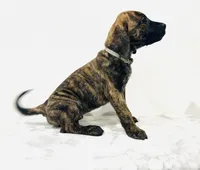 processed/dcc67286-e120-47bb-9162-a67c90af7bae/listing/d6ec2a1f-db5d-4c6d-b585-f35ad4155702/97742551-c375-4239-82fb-a09386b67e0b