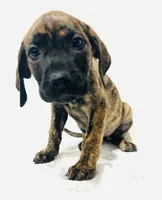 processed/dcc67286-e120-47bb-9162-a67c90af7bae/listing/d6ec2a1f-db5d-4c6d-b585-f35ad4155702/ed7592e4-e75a-497d-9591-376d9a9ef484