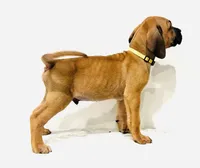 processed/dcc67286-e120-47bb-9162-a67c90af7bae/listing/db1d2ef6-226d-451d-8d98-970e5b39e856/4fb9b339-e921-4b74-896f-c09f9f368821