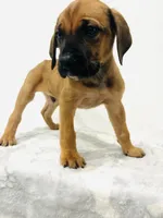 processed/dcc67286-e120-47bb-9162-a67c90af7bae/listing/e1c9f639-c66f-4aec-9090-7d46b0b0a146/2c65f12d-4be5-45c7-b0ae-f3185a72d72a