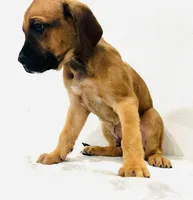 processed/dcc67286-e120-47bb-9162-a67c90af7bae/listing/e1c9f639-c66f-4aec-9090-7d46b0b0a146/93d0c74b-f59c-4c60-9ca5-b48eb434fea6