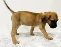 processed/dcc67286-e120-47bb-9162-a67c90af7bae/listing/f0d33ef0-69e6-49b1-989f-967f195ece44/5221a0da-9917-42f5-8c69-44455ecd861d