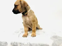 processed/dcc67286-e120-47bb-9162-a67c90af7bae/listing/f0d33ef0-69e6-49b1-989f-967f195ece44/8d40b0fd-2ca2-4be7-a27d-0566aecef4aa