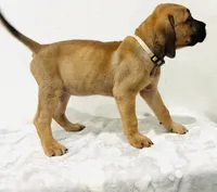 processed/dcc67286-e120-47bb-9162-a67c90af7bae/listing/f0d33ef0-69e6-49b1-989f-967f195ece44/ca96cbf2-a21e-4b10-8e80-ff48bd3ffdd4