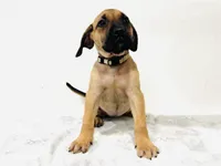 processed/dcc67286-e120-47bb-9162-a67c90af7bae/listing/f0d33ef0-69e6-49b1-989f-967f195ece44/cb7799ae-11d1-4c0d-b20e-36dffd1395bc