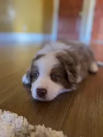 processed/dcc8aece-253a-4fdb-8cfb-907ca1f322a0/listing/414d6dde-05b3-4862-b88e-09ecee7d30df/73d13633-d421-4179-86b2-0bcbd85e4834