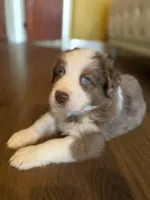 processed/dcc8aece-253a-4fdb-8cfb-907ca1f322a0/listing/414d6dde-05b3-4862-b88e-09ecee7d30df/a8561f58-5aff-4014-84cf-a5e19ee83df0