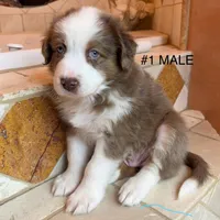 processed/dcc8aece-253a-4fdb-8cfb-907ca1f322a0/listing/414d6dde-05b3-4862-b88e-09ecee7d30df/dbe0056d-c7cd-463e-a4f6-9778e56ea5a0