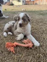 processed/dcc8aece-253a-4fdb-8cfb-907ca1f322a0/listing/658a28a4-1966-4833-9df3-e9f54de6768c/0f101fdd-7d76-4d1a-b3ff-111922fae9a2