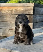 processed/dce346a6-5897-403b-85d5-4dabdfc55bc2/listing/329a8190-d8ca-4e11-91f2-f930f95d252b/0f053bd7-4e3b-4457-91bc-46bf5b4c2ad8