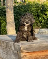 processed/dce346a6-5897-403b-85d5-4dabdfc55bc2/listing/329a8190-d8ca-4e11-91f2-f930f95d252b/5a9addb3-2b96-4023-ad4e-5acd66c527a0