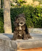 processed/dce346a6-5897-403b-85d5-4dabdfc55bc2/listing/329a8190-d8ca-4e11-91f2-f930f95d252b/9cc7e824-fb49-426e-bae2-0754c3228c34