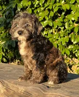 processed/dce346a6-5897-403b-85d5-4dabdfc55bc2/listing/329a8190-d8ca-4e11-91f2-f930f95d252b/f05c59ad-b1d6-4801-9a62-e5e8af3b7f7d