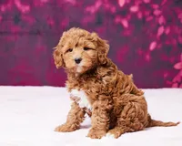 processed/dce346a6-5897-403b-85d5-4dabdfc55bc2/listing/662b00f7-f3b8-4671-8a0f-a2ac1507a021/104f85b4-bb01-46f7-9686-9907b3563309