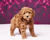 processed/dce346a6-5897-403b-85d5-4dabdfc55bc2/listing/662b00f7-f3b8-4671-8a0f-a2ac1507a021/db91e20d-5582-483c-a997-53d3c2bec944