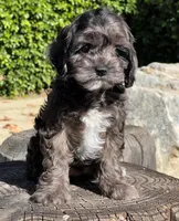 processed/dce346a6-5897-403b-85d5-4dabdfc55bc2/listing/f3a4d8bd-fece-4890-985c-b08de200c740/34521e4e-e488-4bb3-8887-17df961b5546