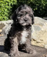 processed/dce346a6-5897-403b-85d5-4dabdfc55bc2/listing/f3a4d8bd-fece-4890-985c-b08de200c740/680b1adc-393f-4100-a847-cbd9bb13584e