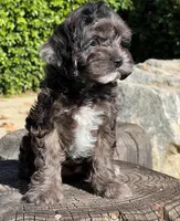 processed/dce346a6-5897-403b-85d5-4dabdfc55bc2/listing/f3a4d8bd-fece-4890-985c-b08de200c740/82ab059e-c7e3-4c82-880c-6a04ff075551