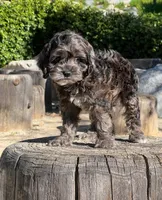 processed/dce346a6-5897-403b-85d5-4dabdfc55bc2/listing/f3a4d8bd-fece-4890-985c-b08de200c740/a1824eba-87ad-47c2-bdd7-efd772756738