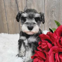 processed/dce86e4c-490c-4e94-9af8-0a9e9d1dec30/facility/3b852664-e277-40b4-9a67-a640c5f5e242